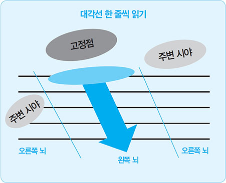 대각선 한줄씩읽기